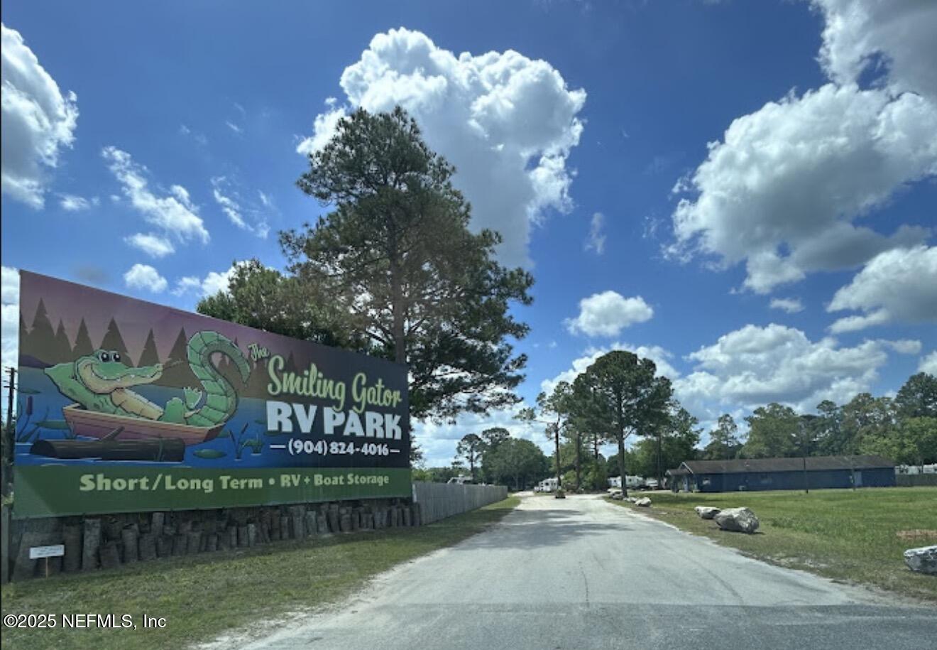 Image 1: Smiling Gator