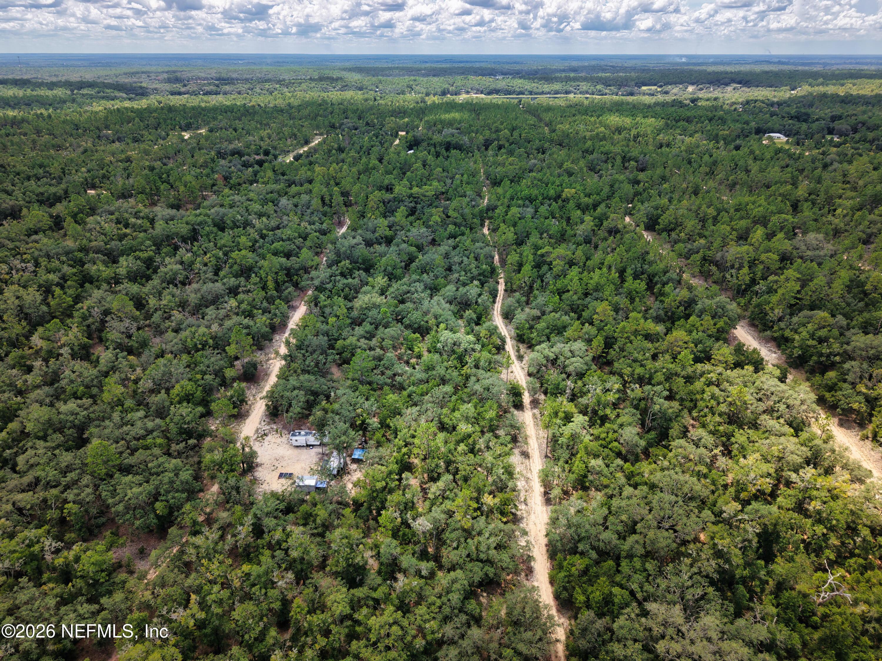 Image 3: 0.20 Acres in Florida &ndash; Perfect for Vaca