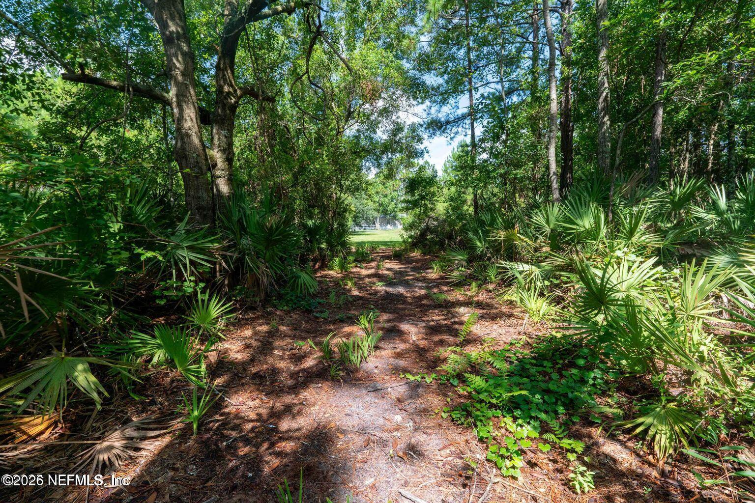 Image 3: 20250310140323658479000000-o