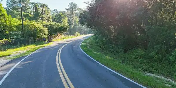 Image 2: DJI_20250716081743_0067_D