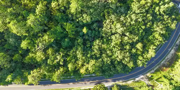Image 4: DJI_20250716081534_0061_D