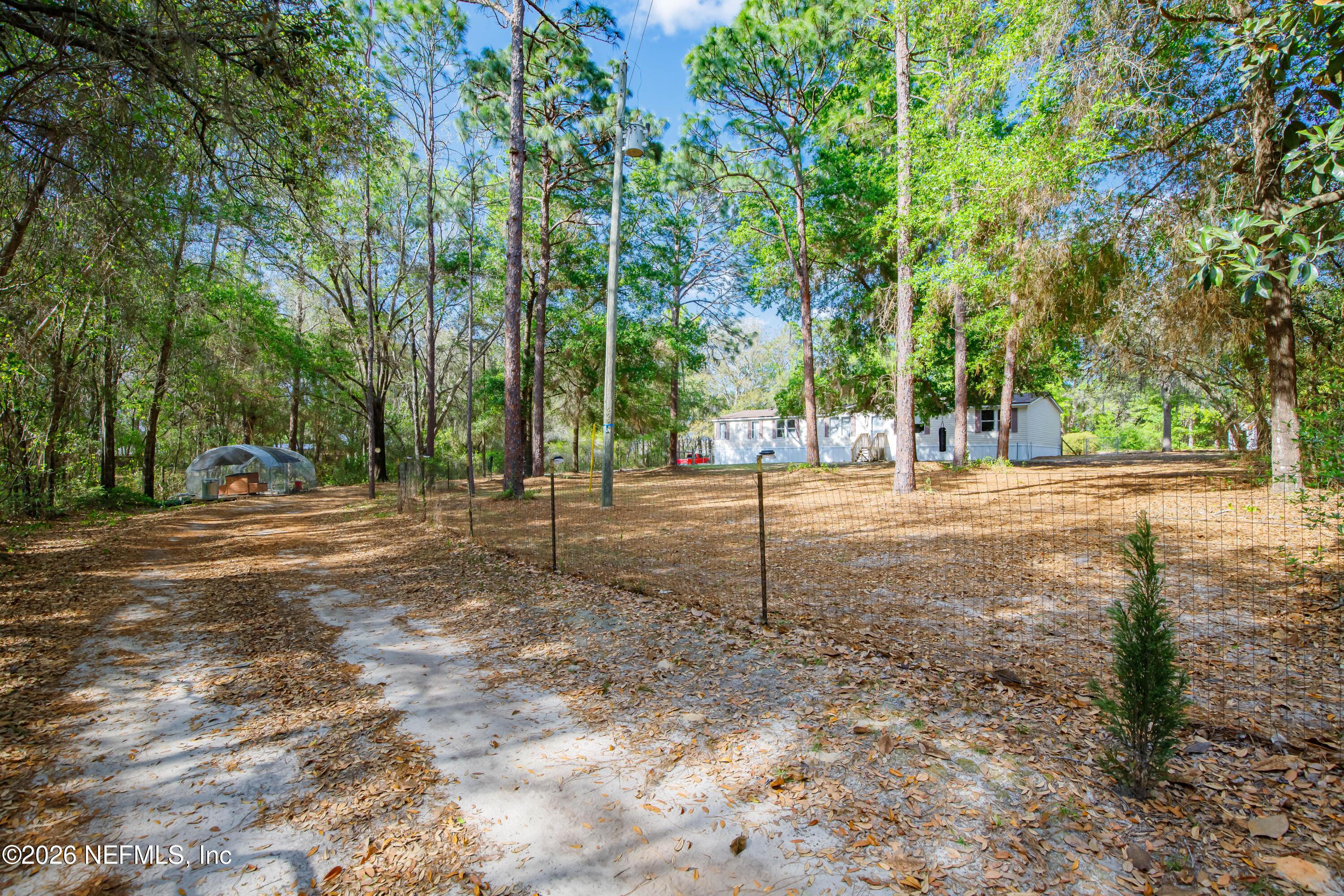 Image 2: Front Yard Driveway