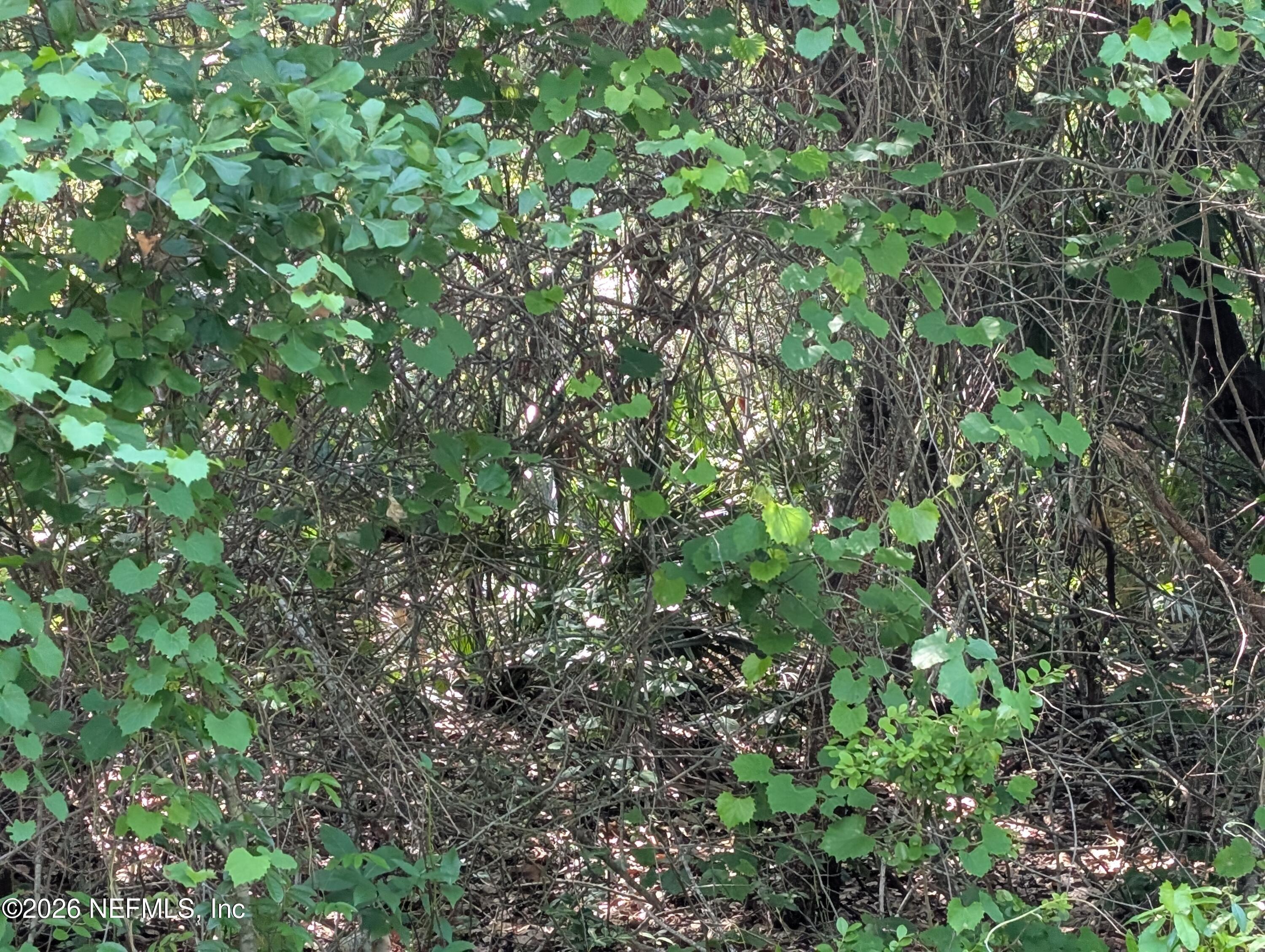 Image 4: 3