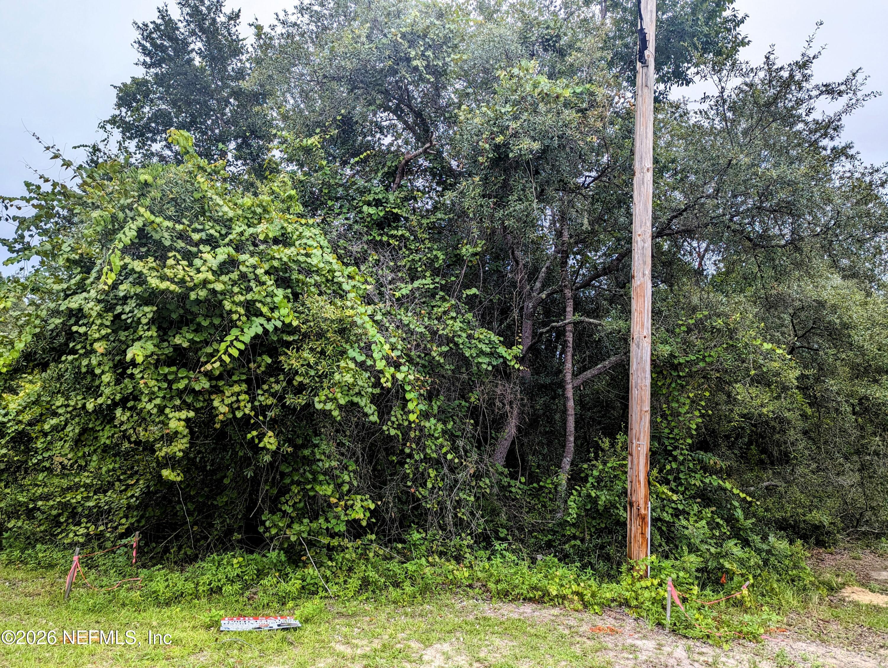 Image 2: pic 5572 Deerlodge Ct 1