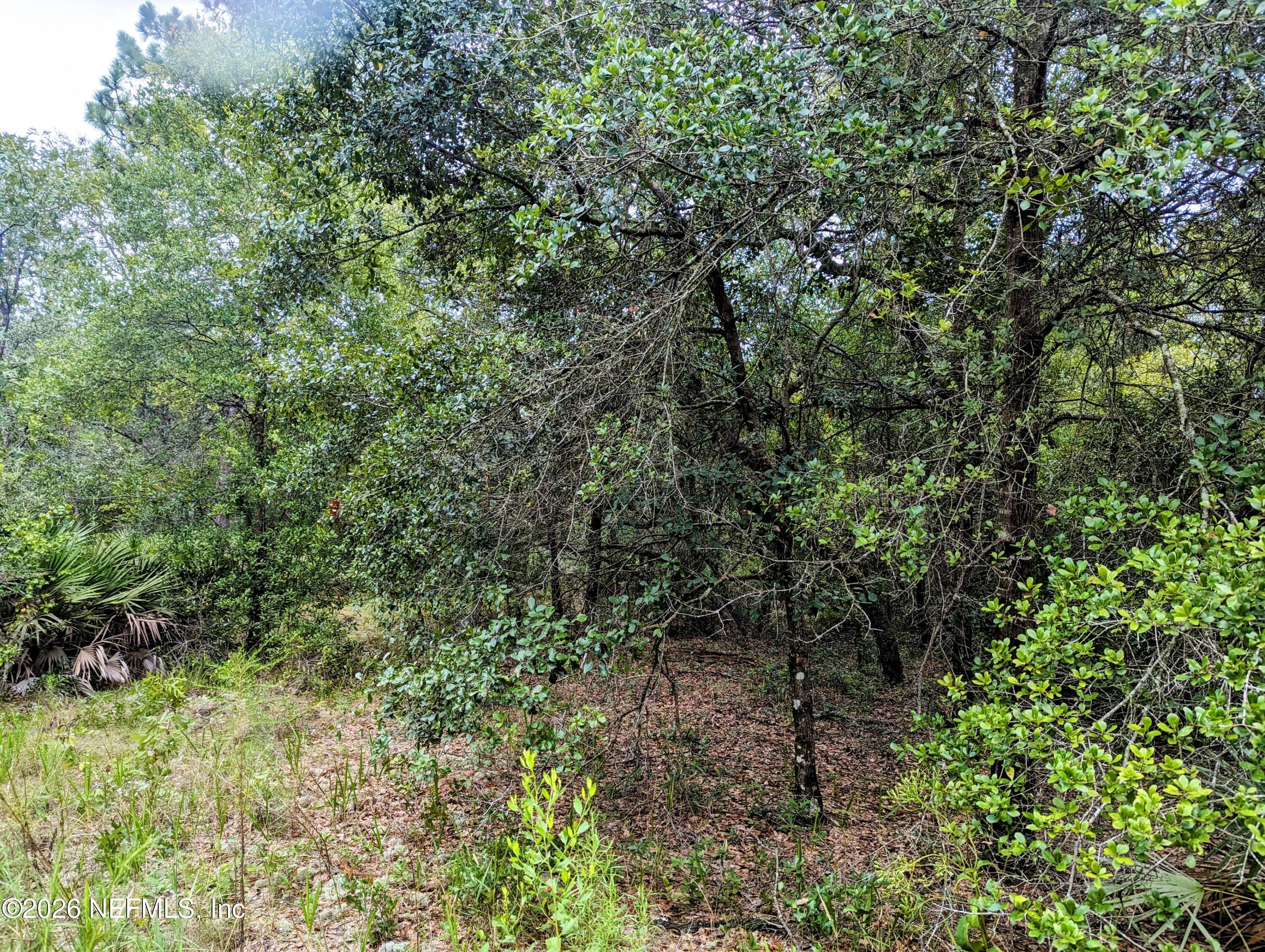 Image 4: pic 5572 Deerlodge Ct 4
