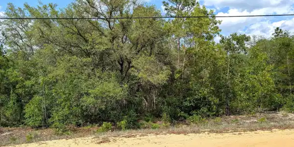Image 2: 1