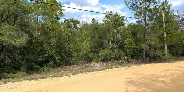 Image 4: 3