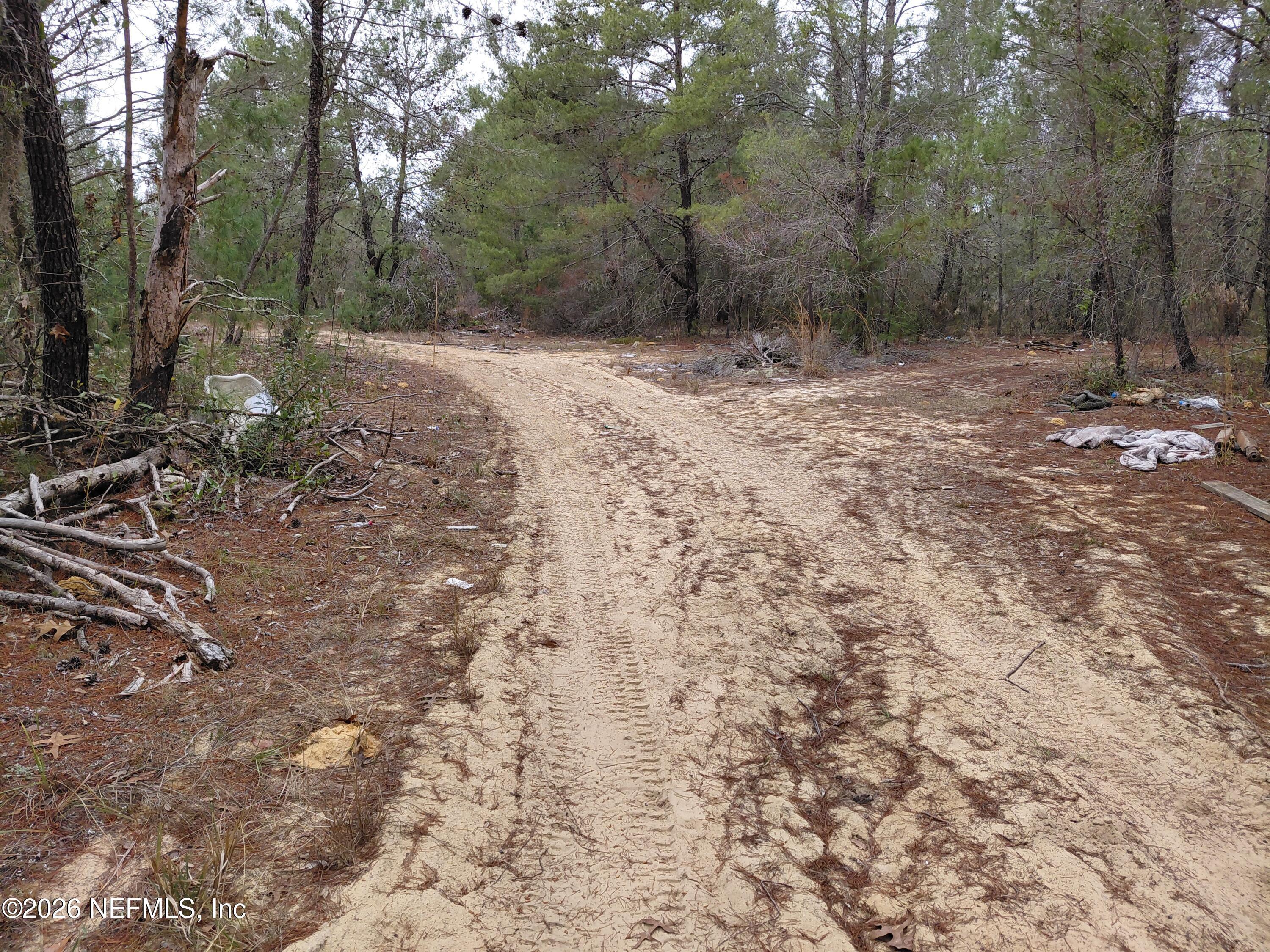 Image 4: Oak Terrace 14