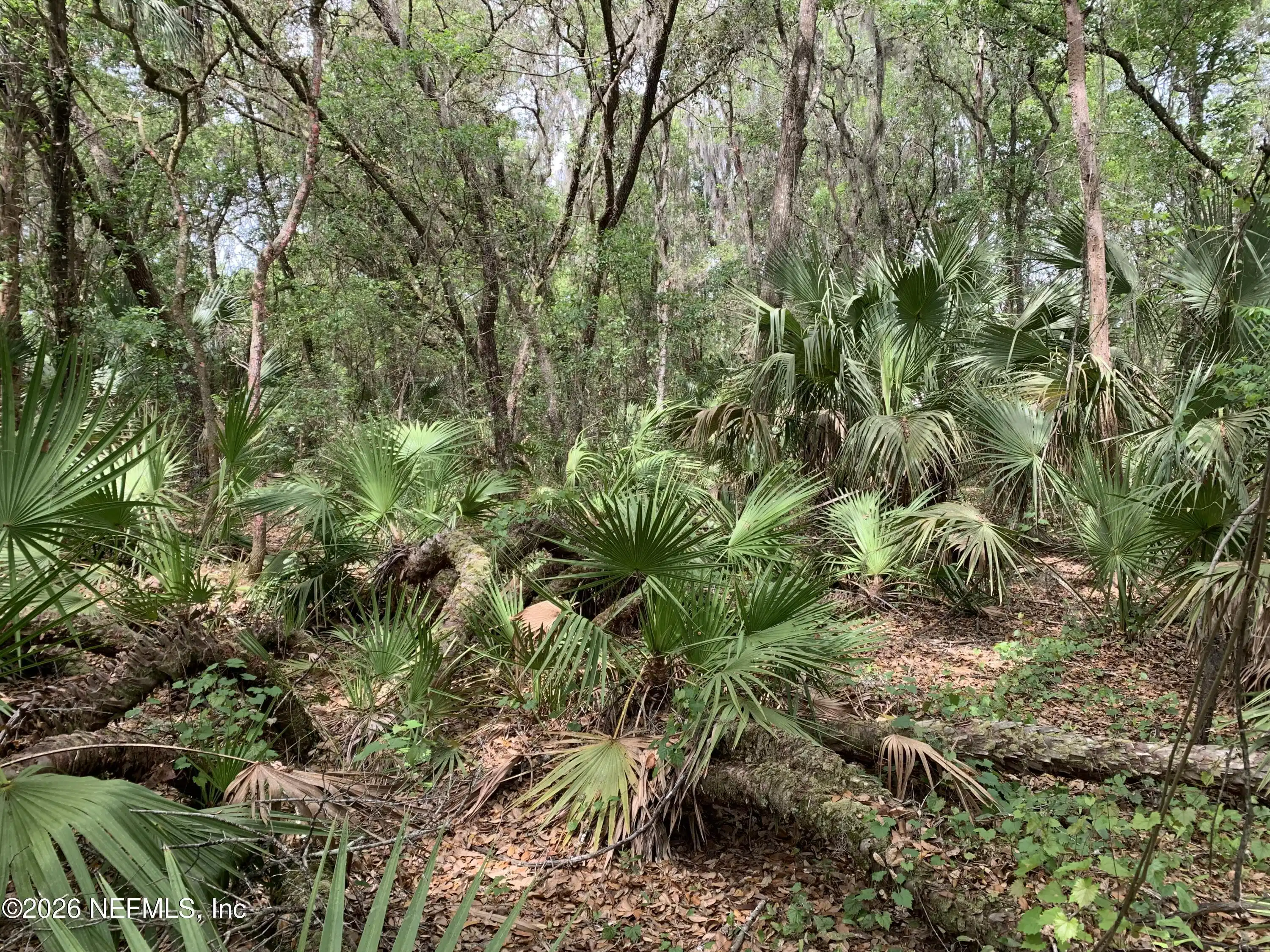 Image 1: Robinson - Old Woods Rd