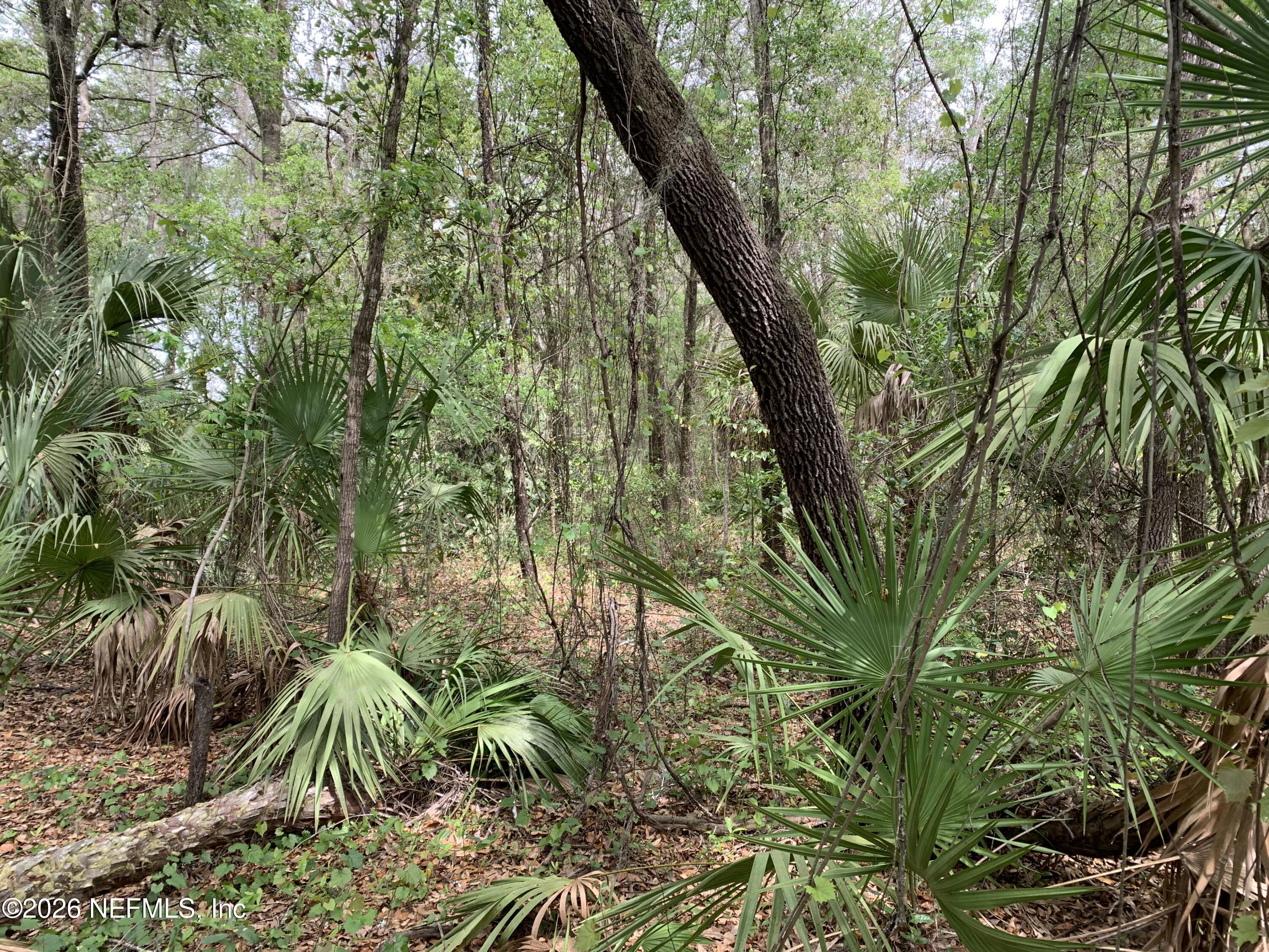 Image 2: Robinson - Old Woods Rd
