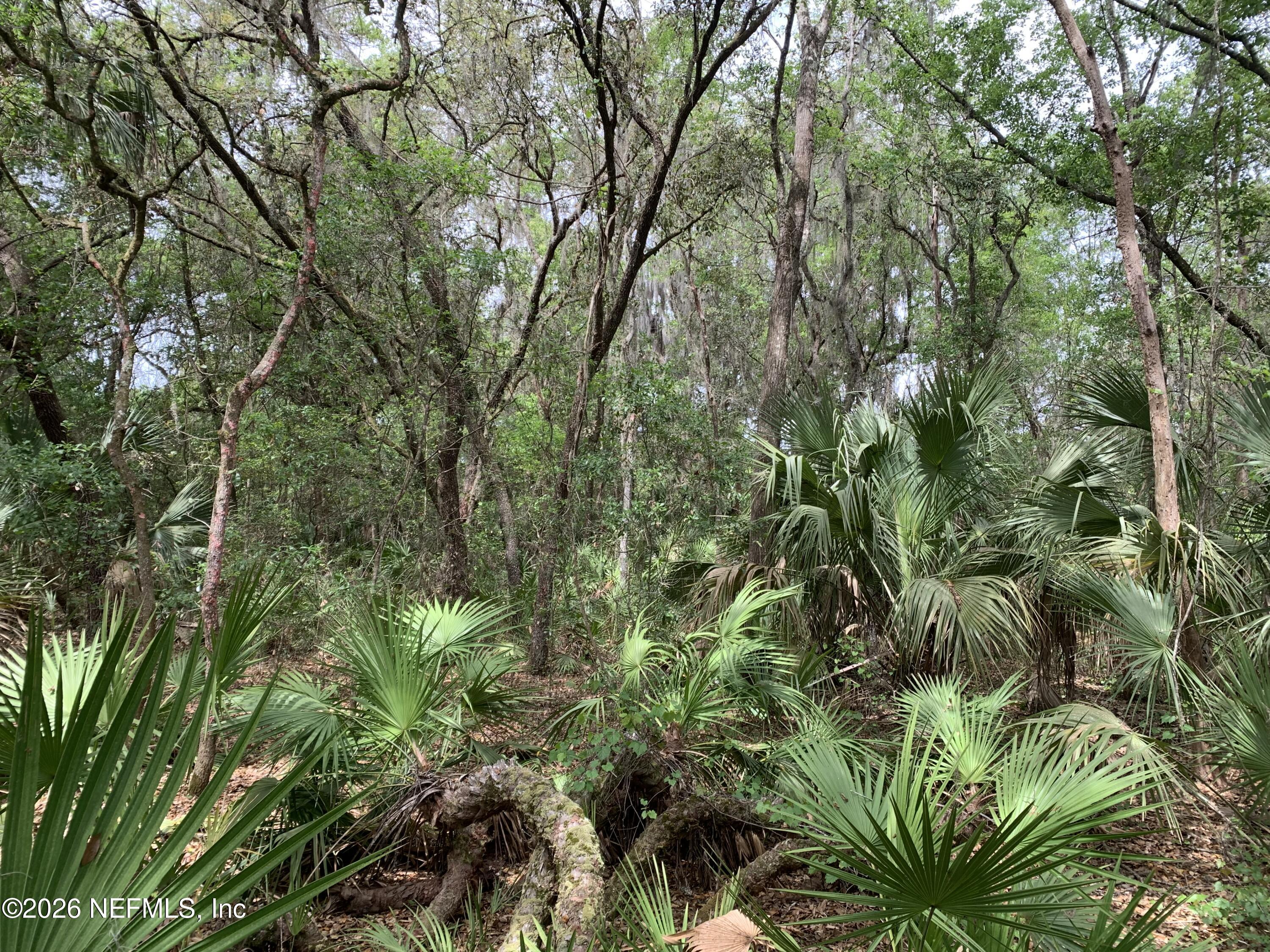 Image 3: Robinson - Old Woods Rd