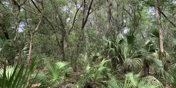 Image 3: Robinson - Old Woods Rd