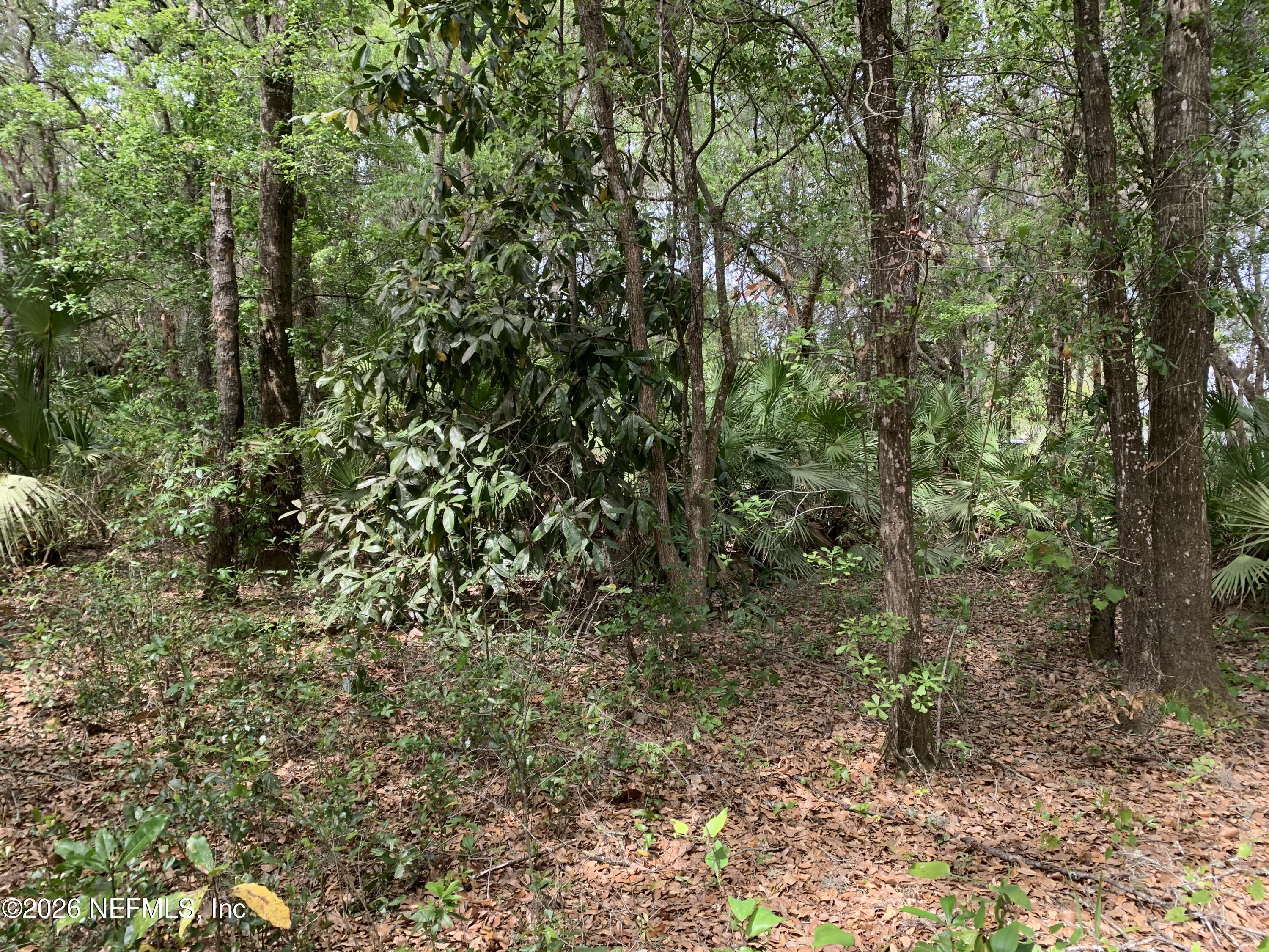 Image 4: Robinson - Old Woods Rd