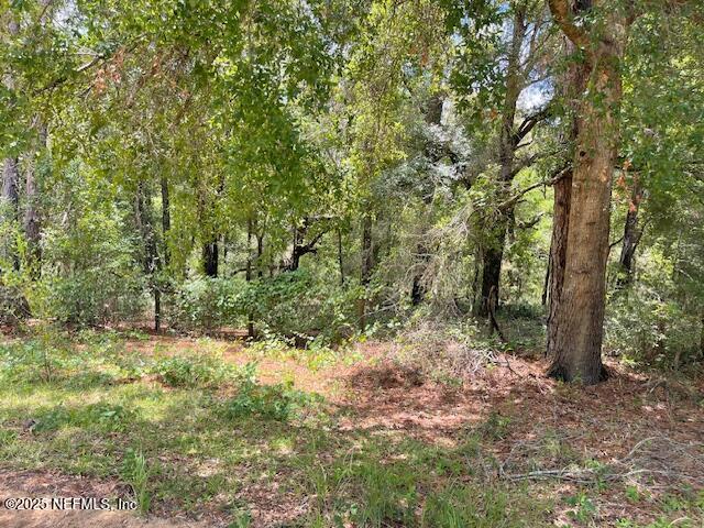Image 2: small cleared area