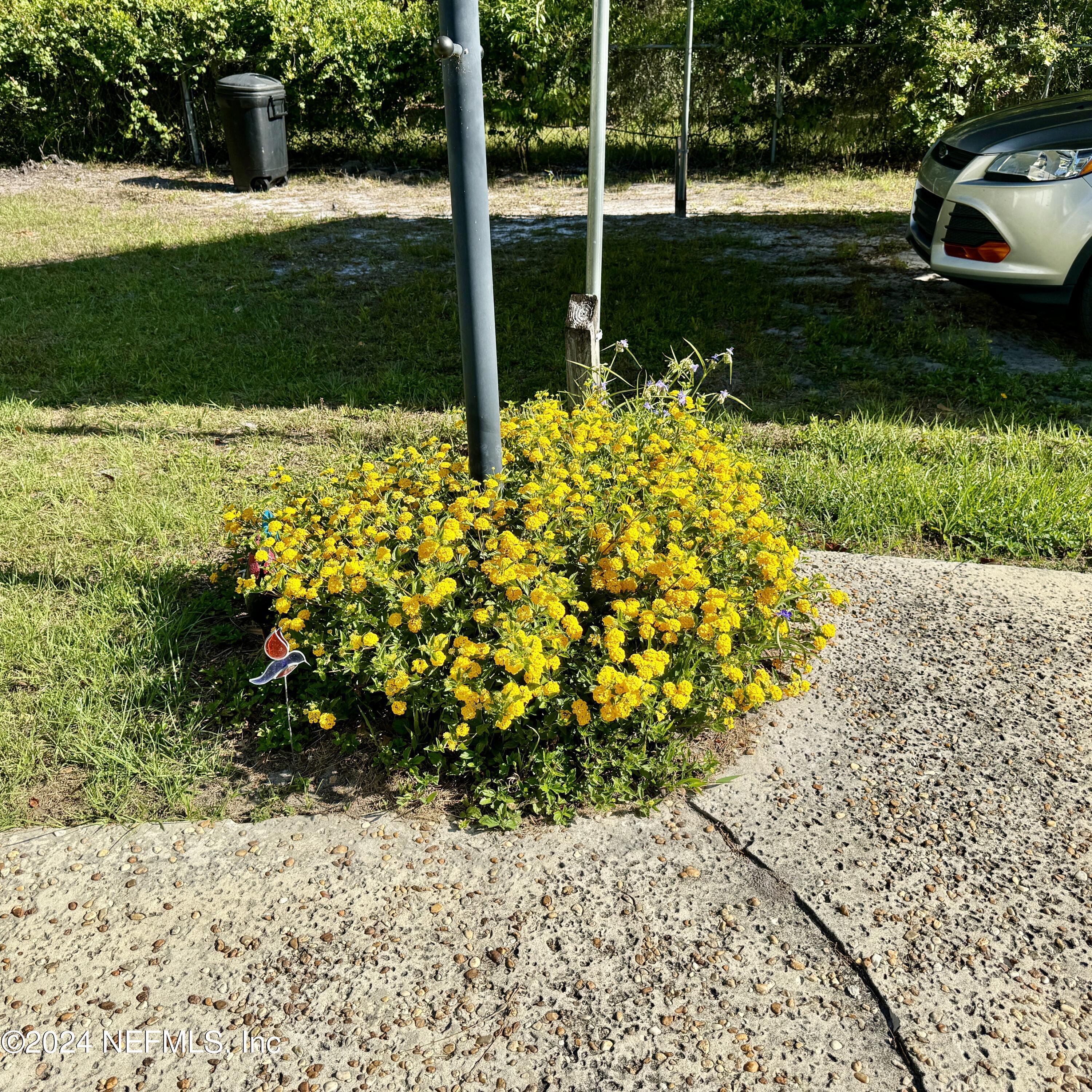 Image 4: 105 George Ave, Interlachen, FL