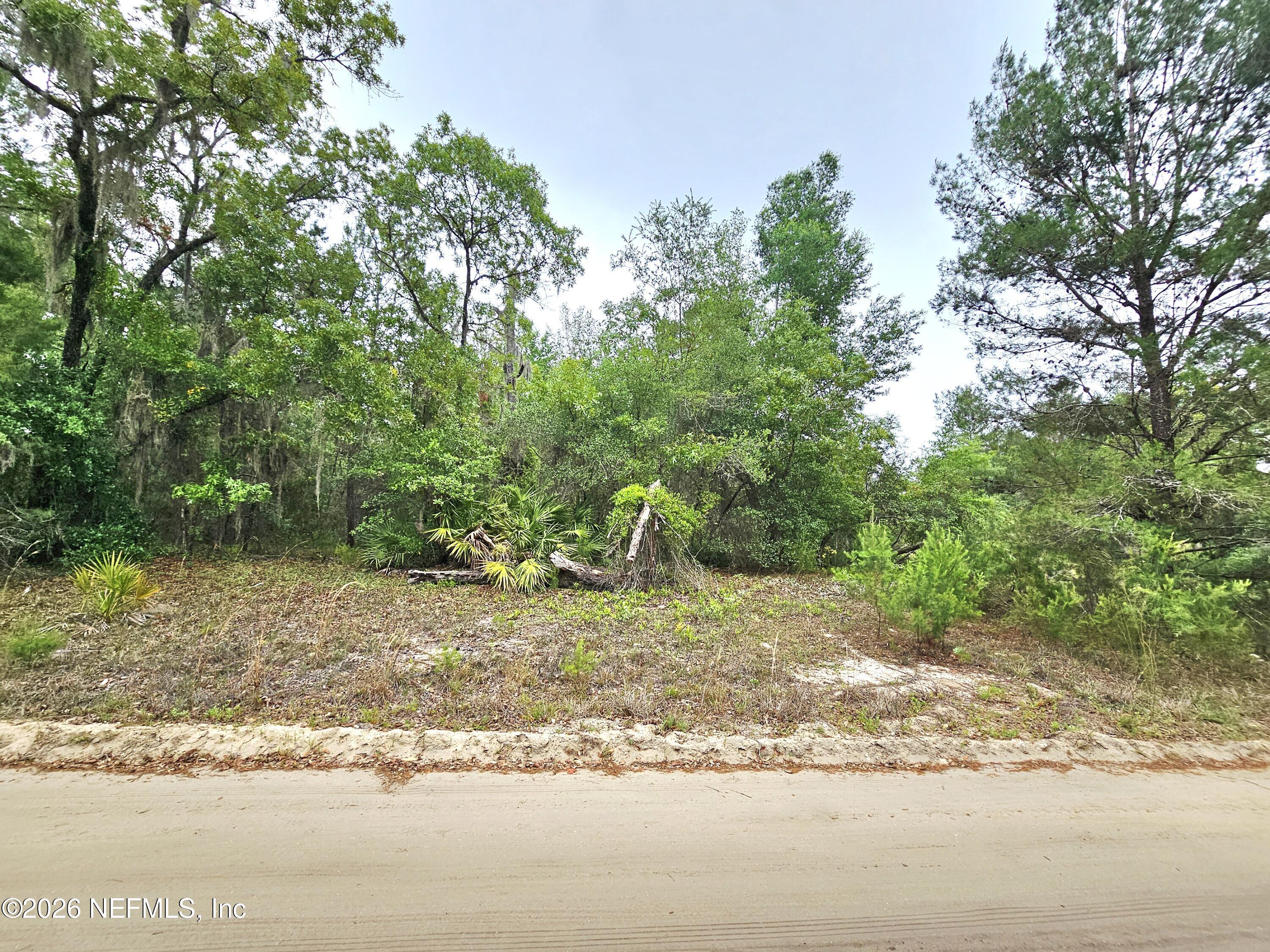 Image 1: Lot View