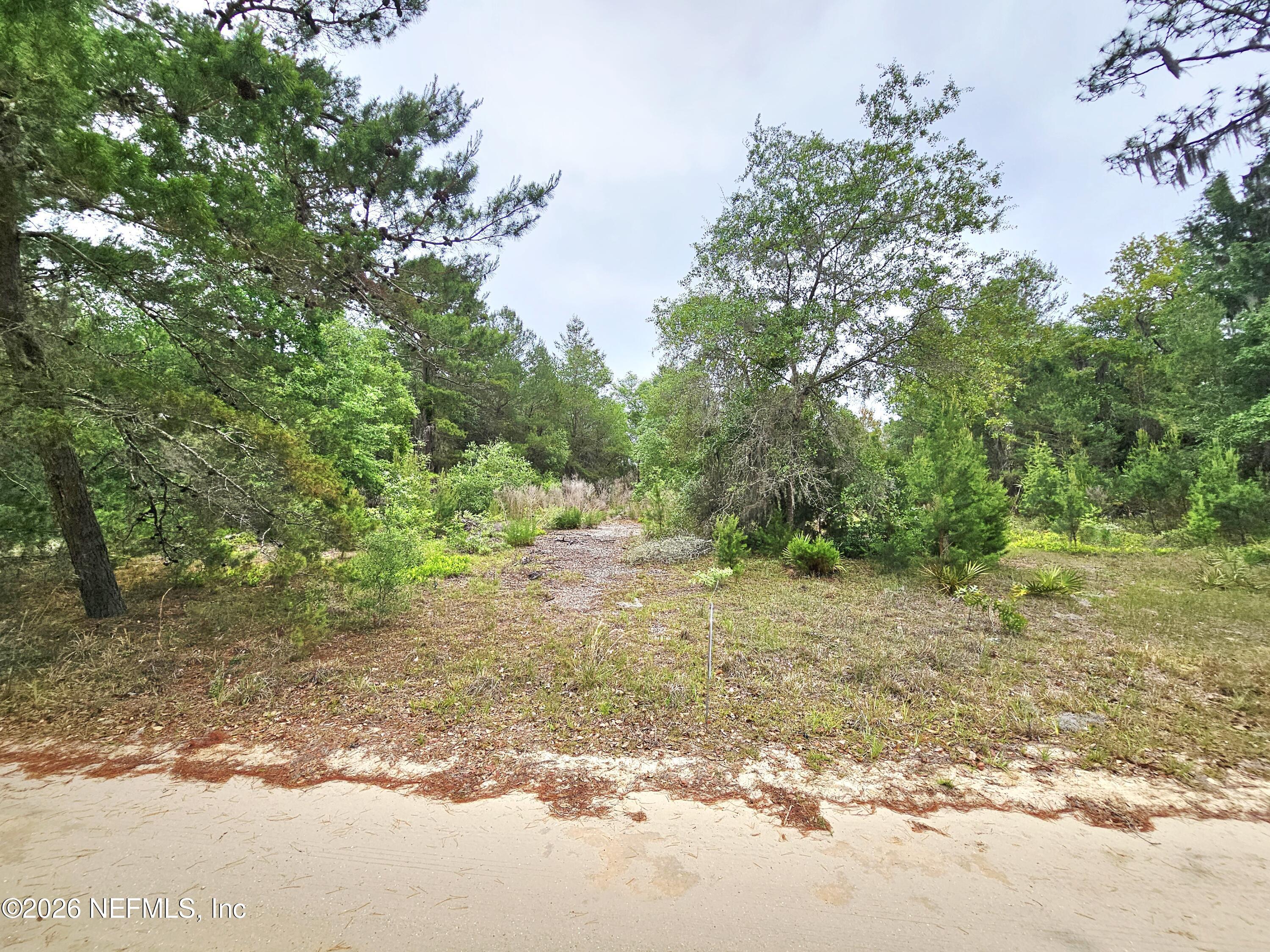 Image 2: lot view 2