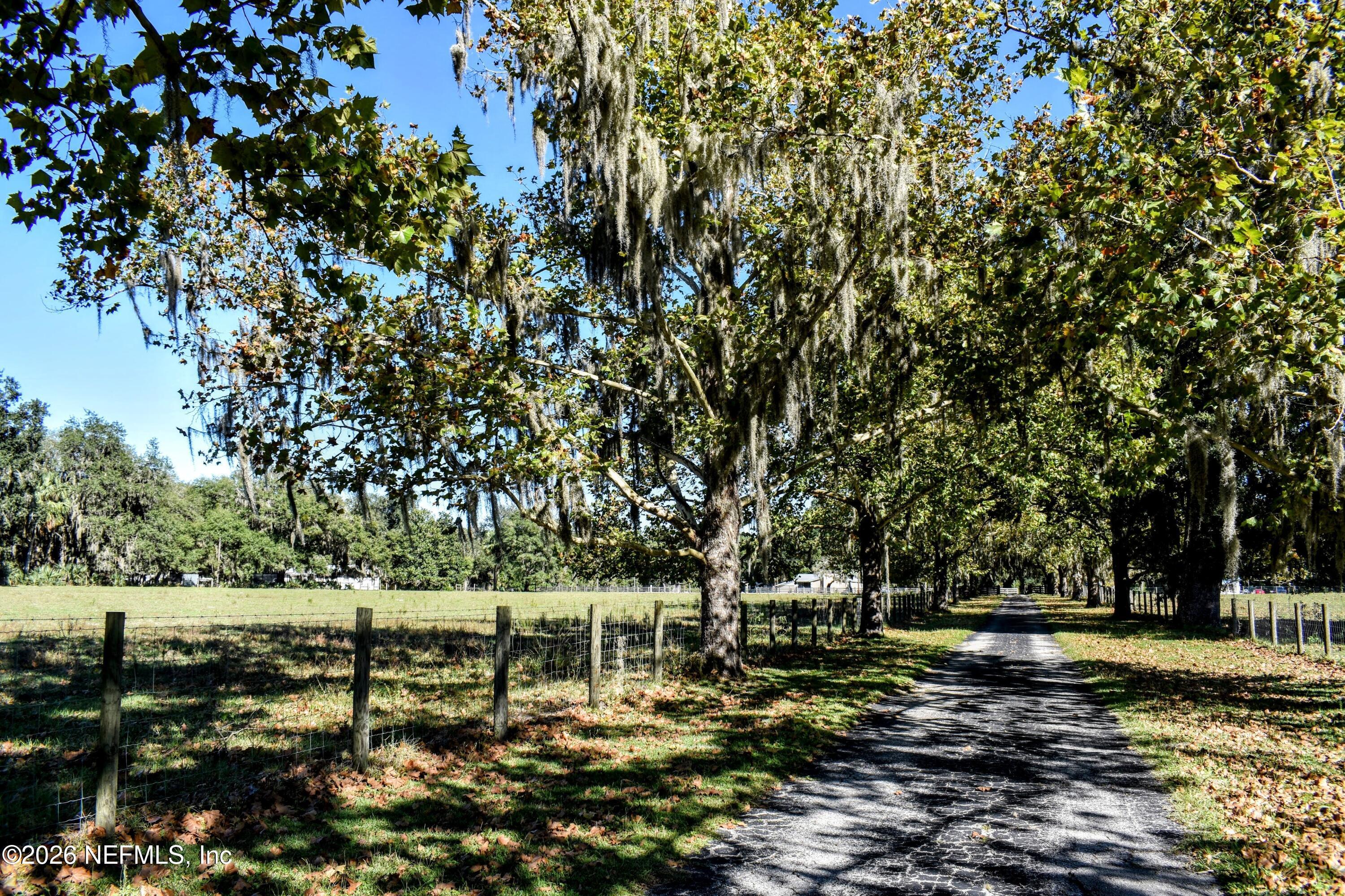 Image 3: DSC_0120-EDIT