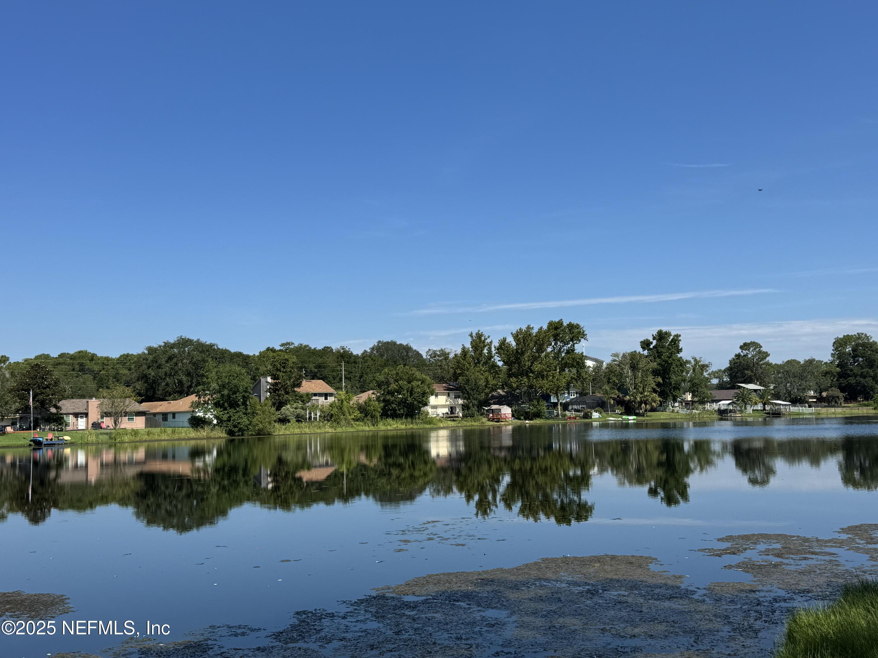 Image 4: IMG_7782