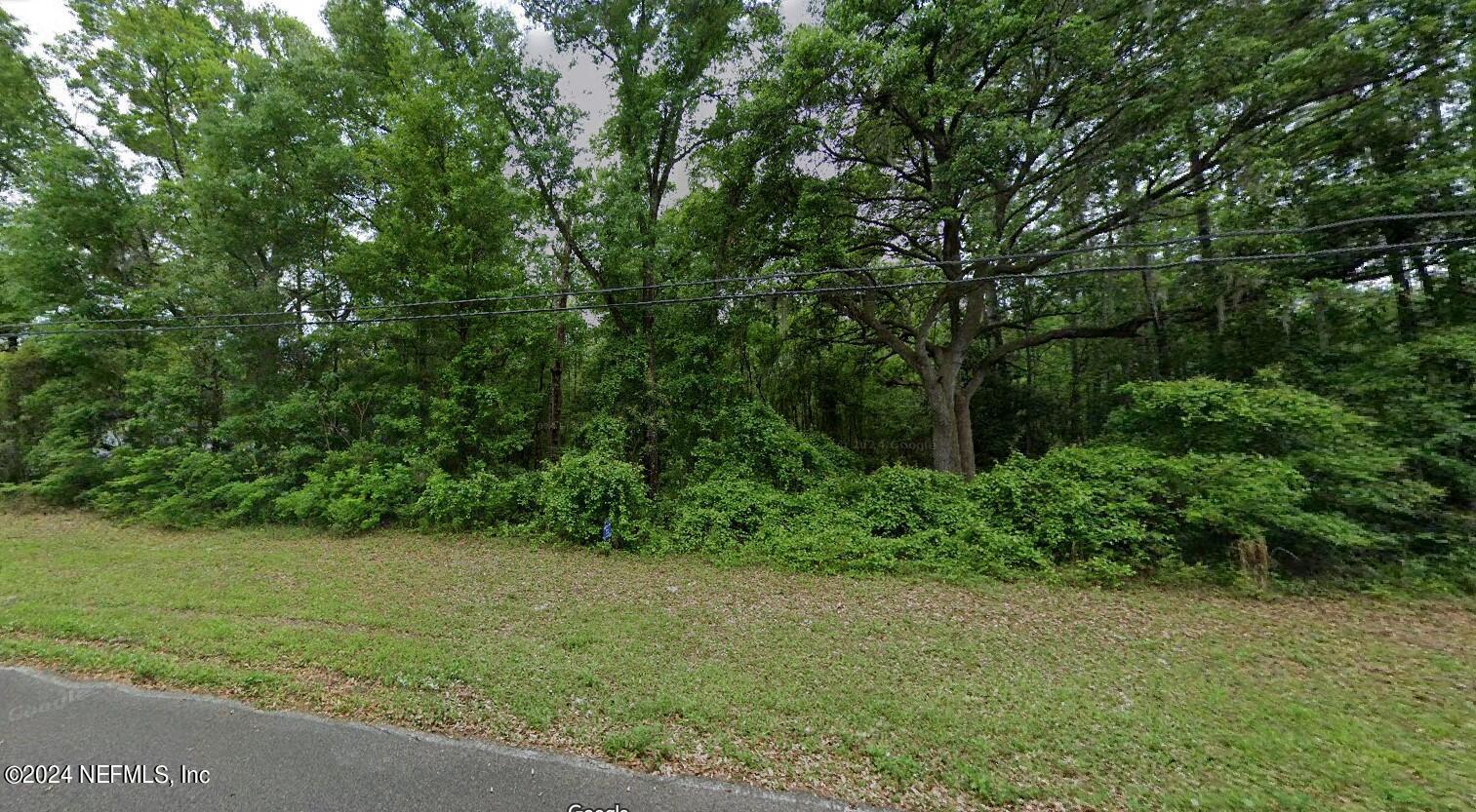 Image 3: Beautiful lot.