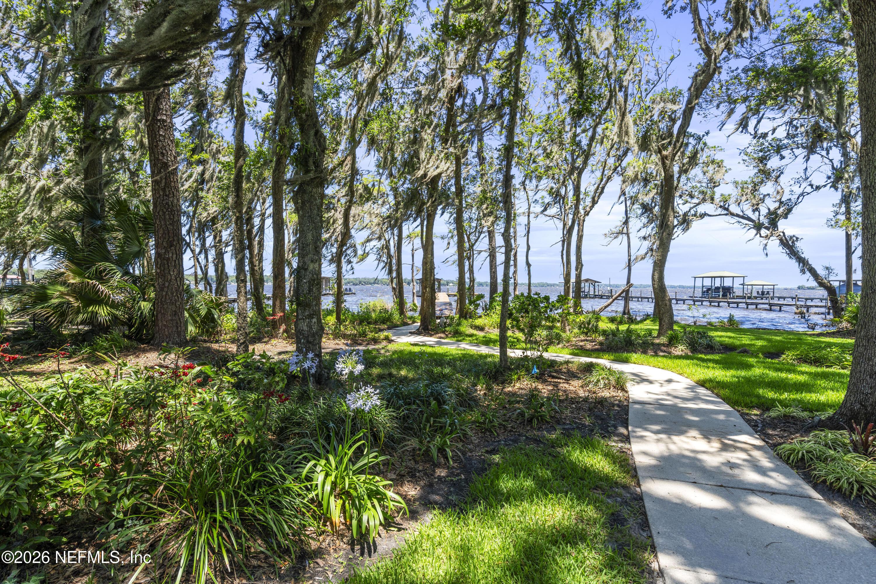 Image 3: Paved Walkway