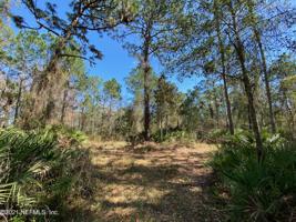 1915 COUNTY ROAD 214 S