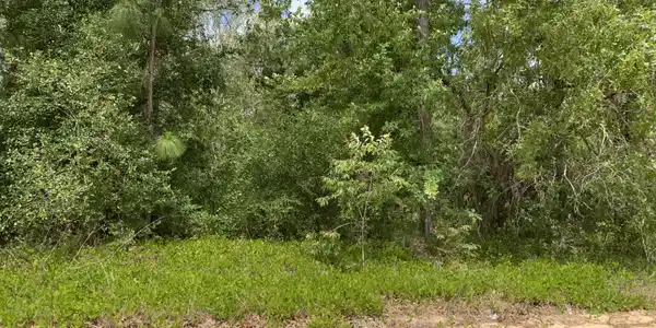 6812 TREE TOP CT