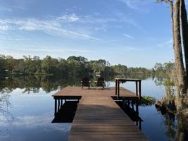 113 PALMER DR