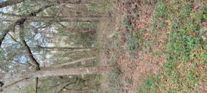 2108 BELLAMY RD