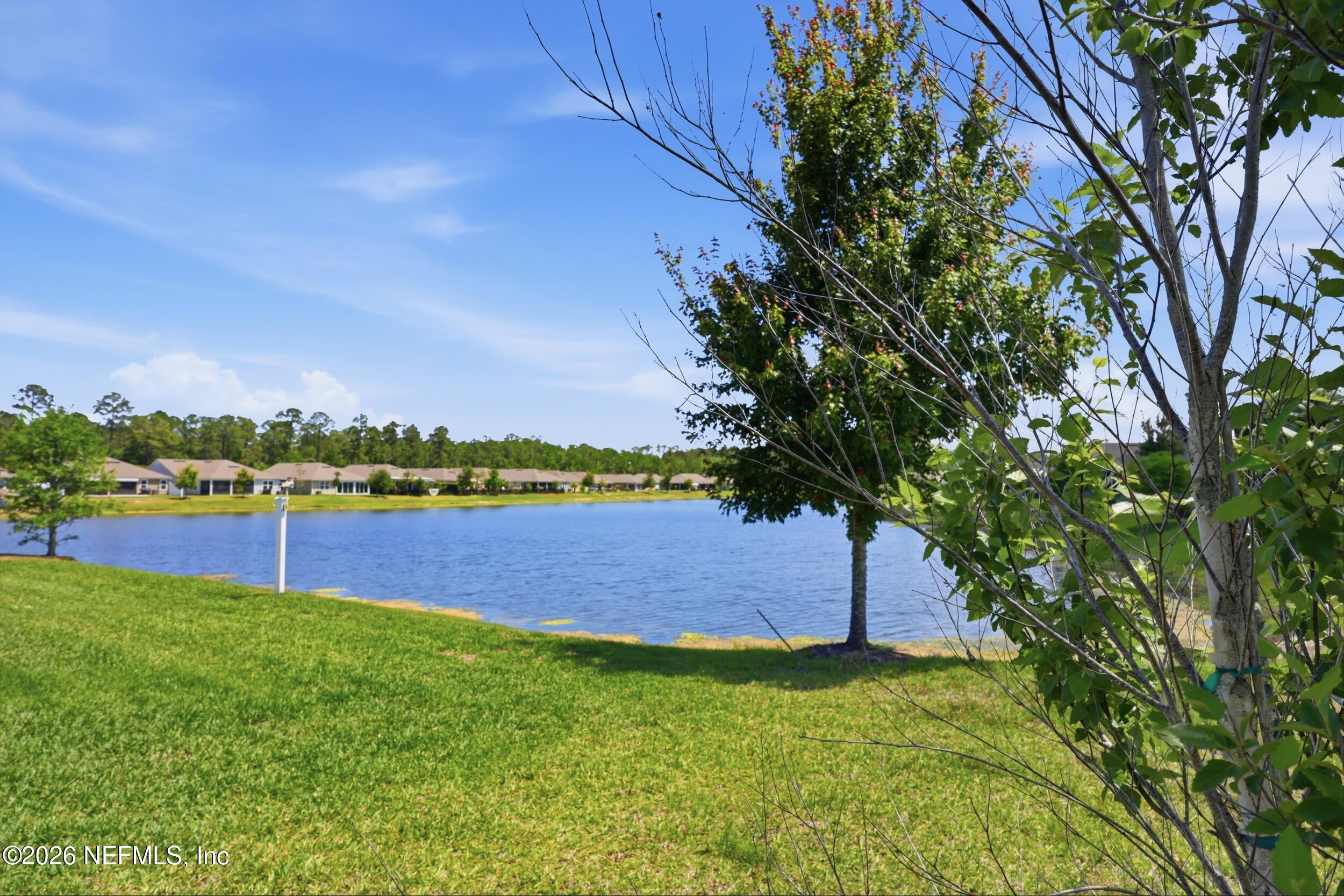 Image 3: Backyard View 3