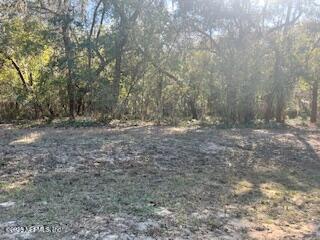 0230-0040 INDIAN LAKES Road