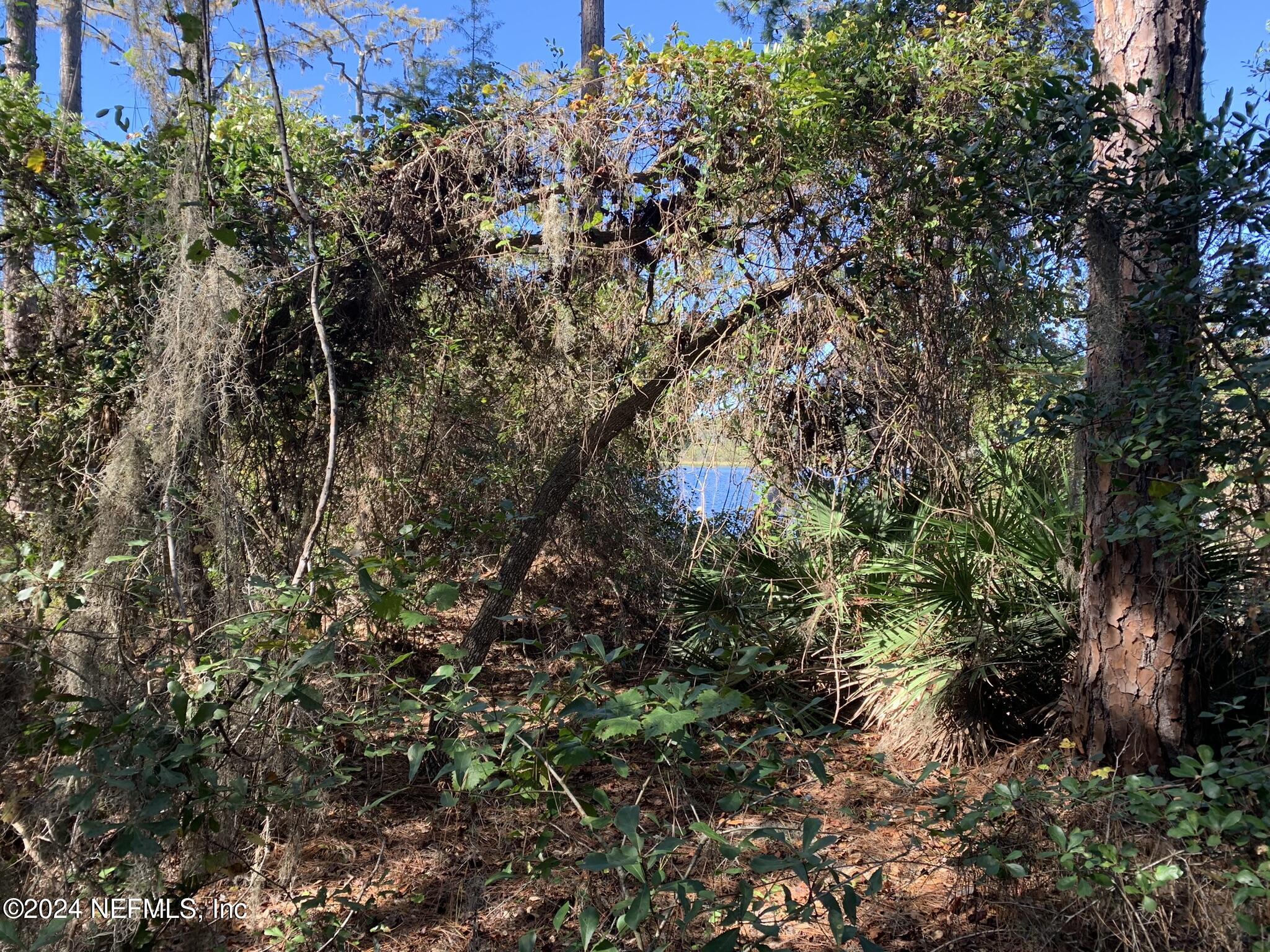 Image 2: Hepler - 105 Palmer Dr