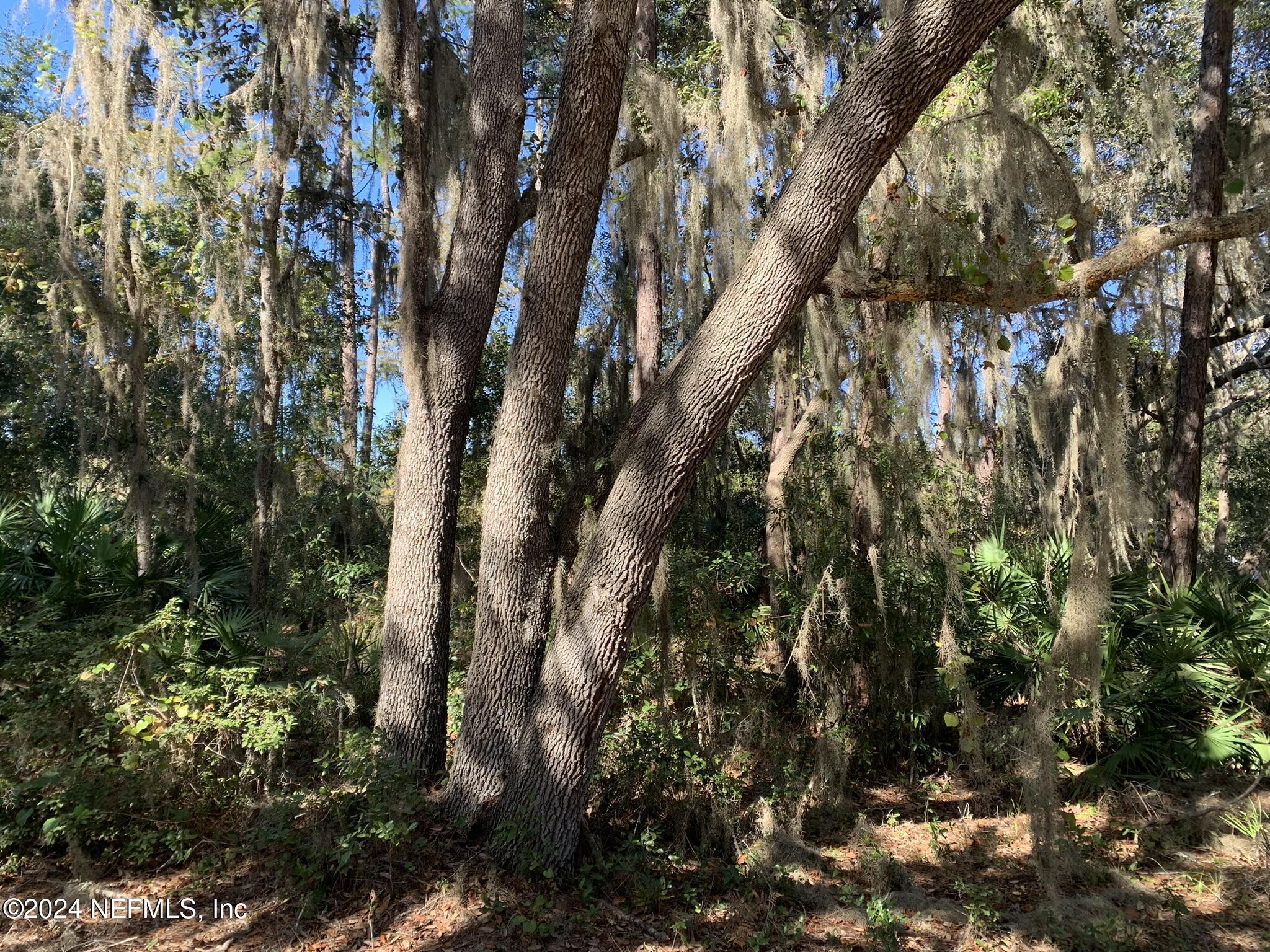 Image 3: Hepler - 105 Palmer Dr