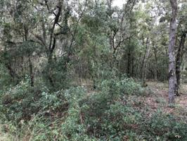 00 MORRIS LAKE DR