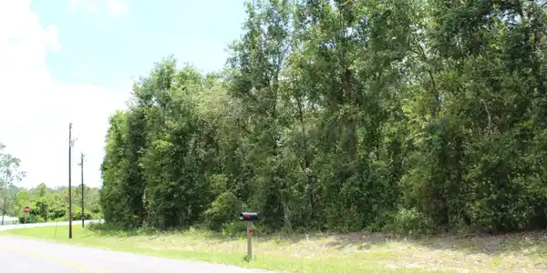 000 STATE ROAD 21 RD