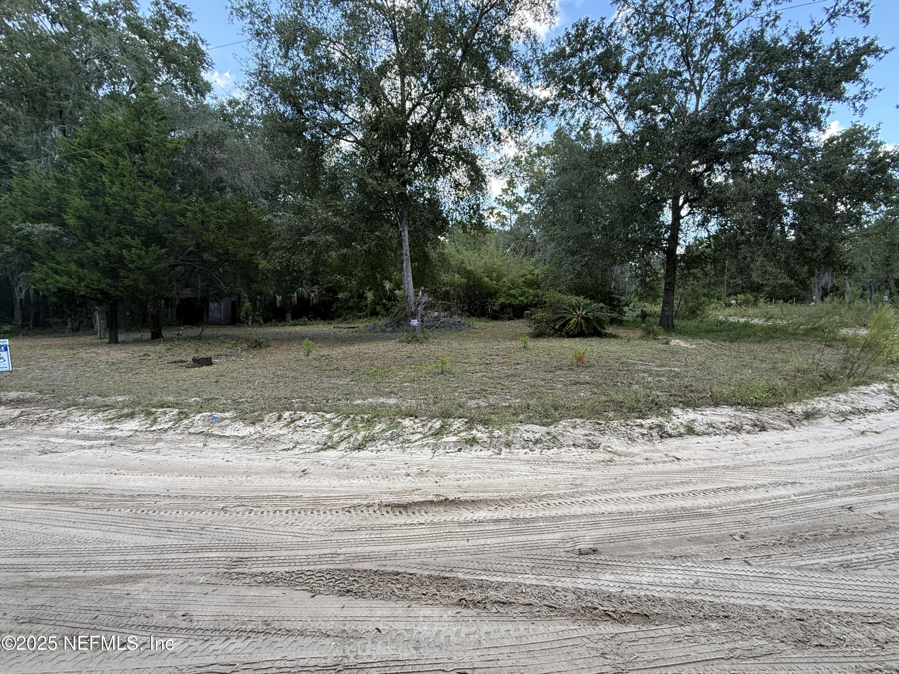 Image 2: IMG_3343