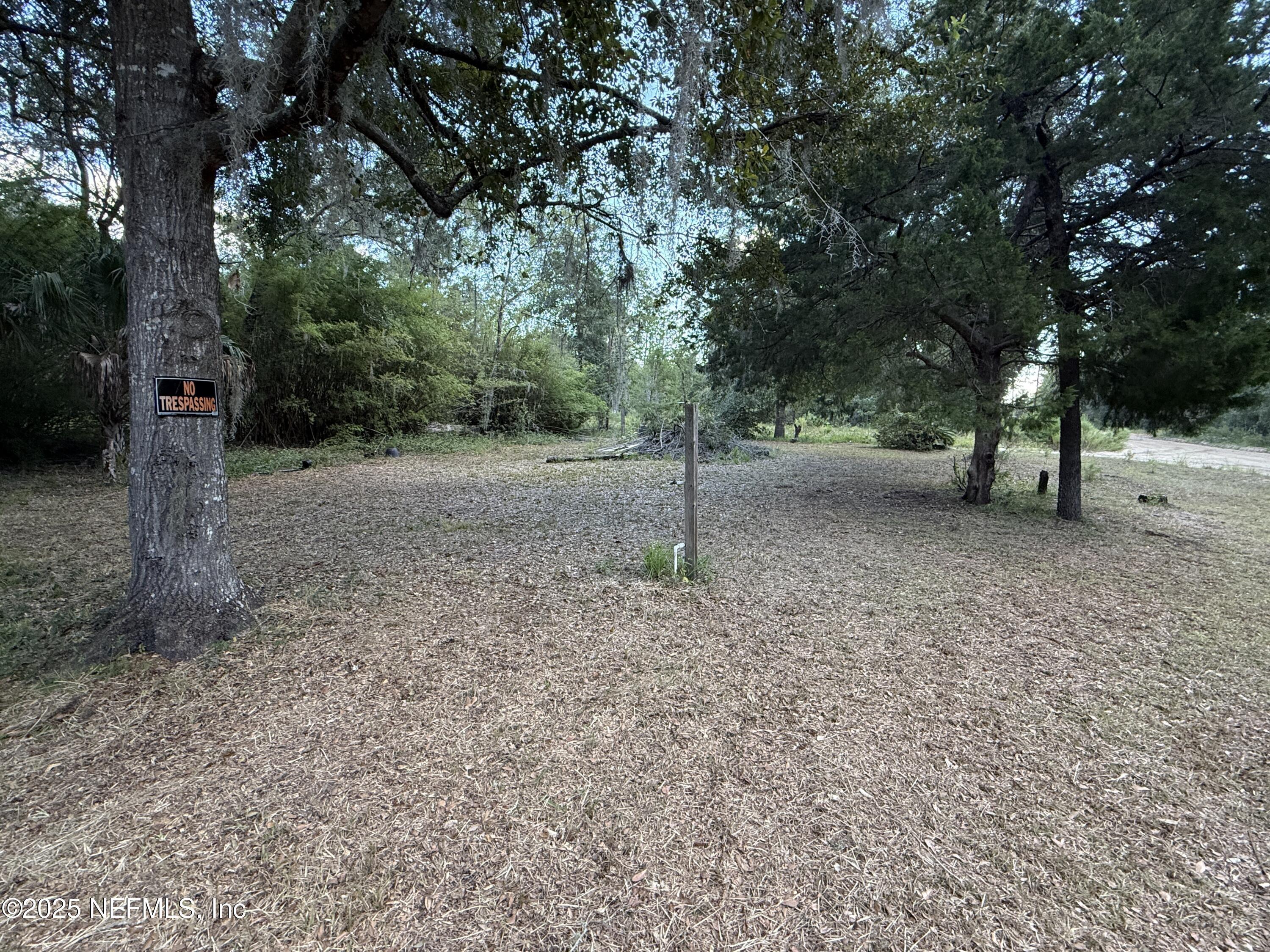 Image 3: IMG_3346
