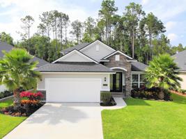 50 KIWI PALM CT