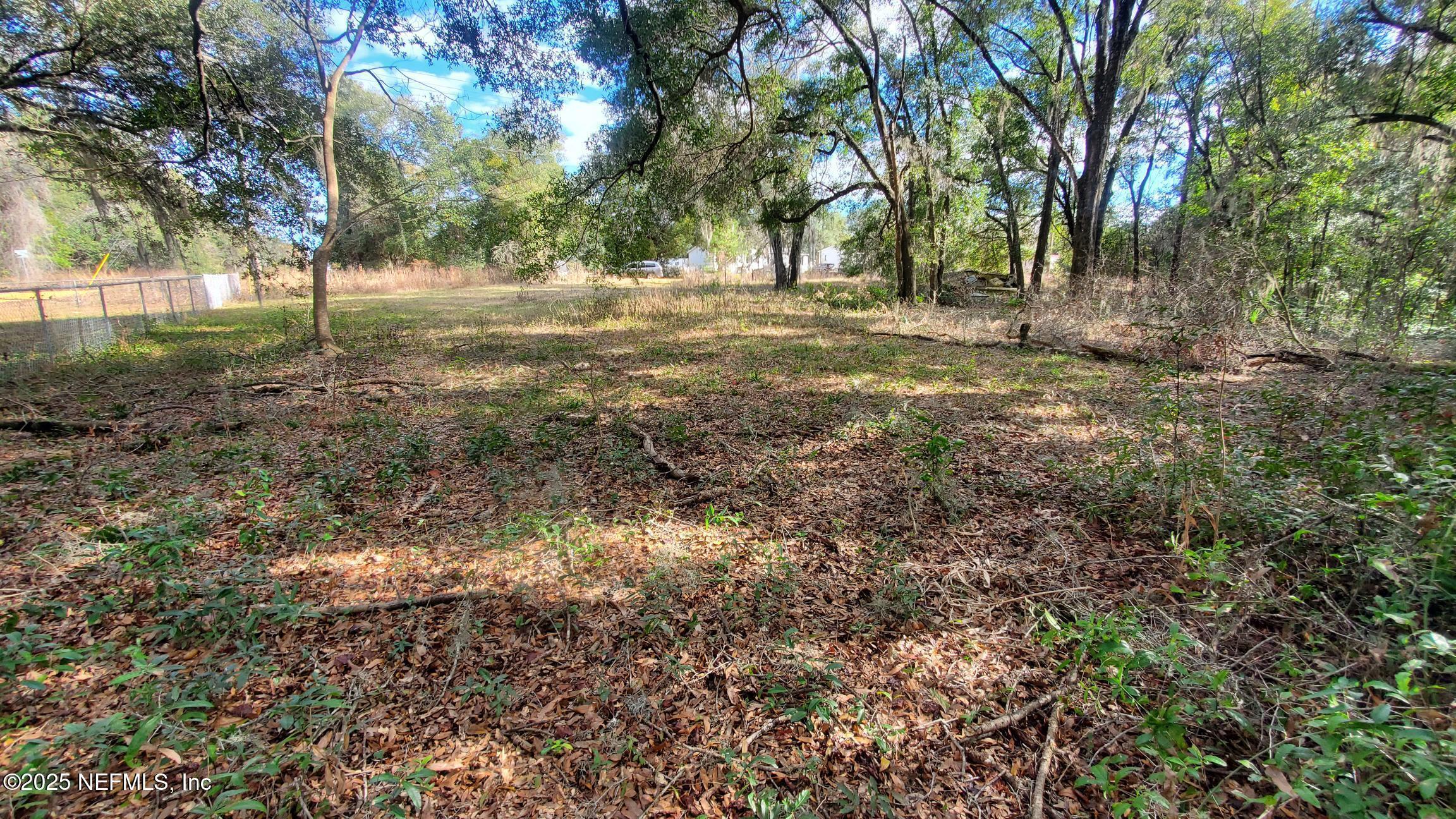 Image 3: 235 Hayes Dr
