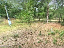 6815 DOGWOOD CIR