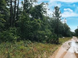 0000 WILSON AVE