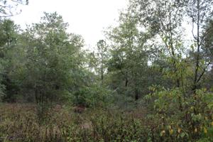 00 SE 46TH LOOP