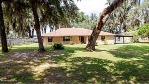 136 LITTLE ORANGE LAKE DR.