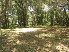 231 LITTLE ORANGE LAKE DR