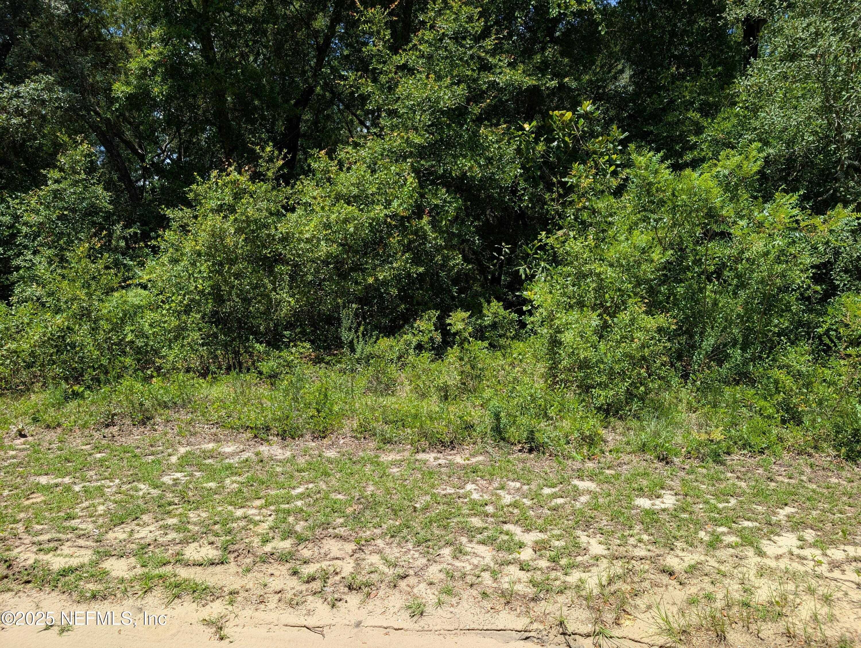 Image 3: PINE RD 2