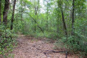 5080 KLARE DR