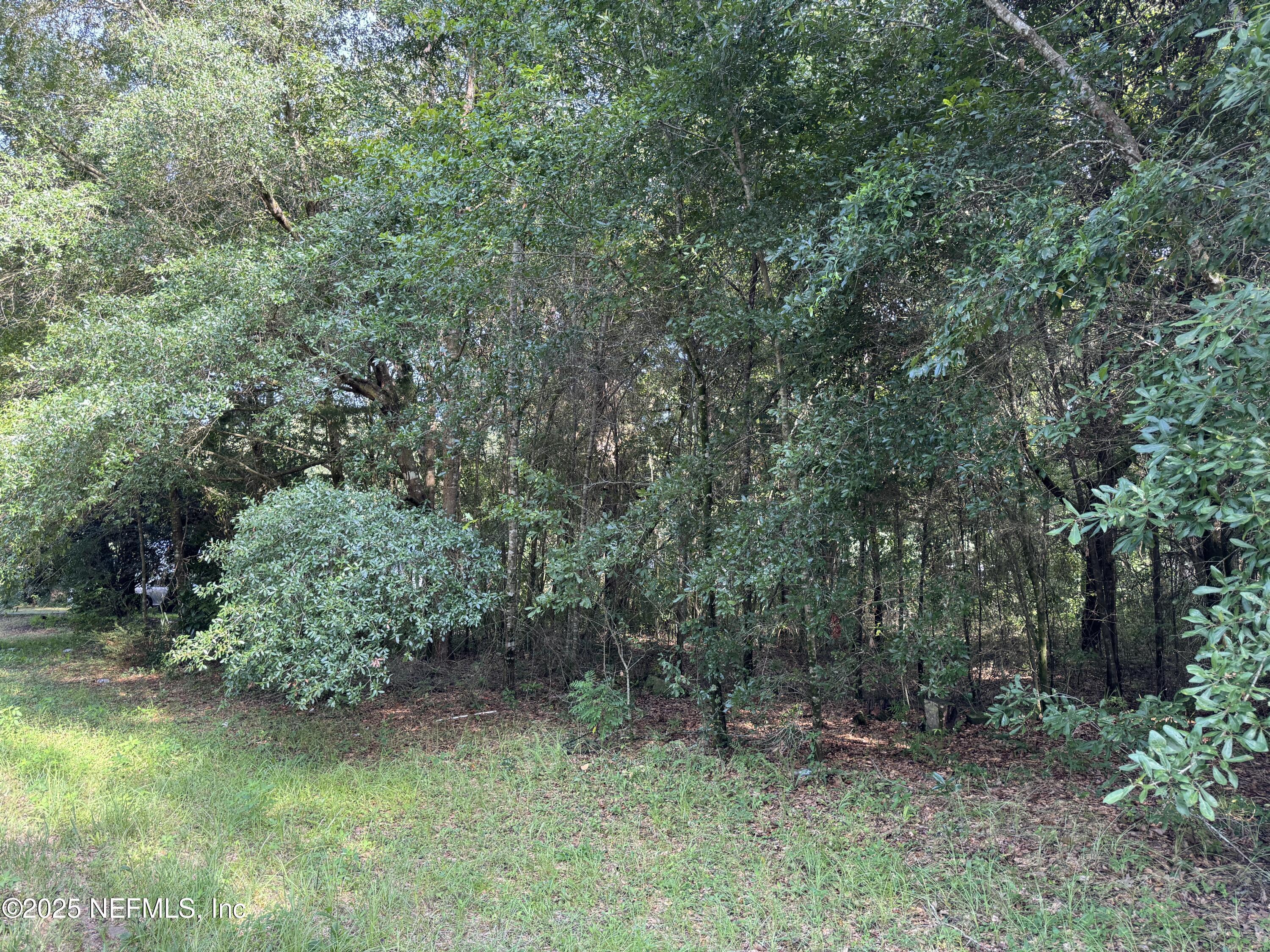 Image 3: 121 Velvet St, Interlachen, FL