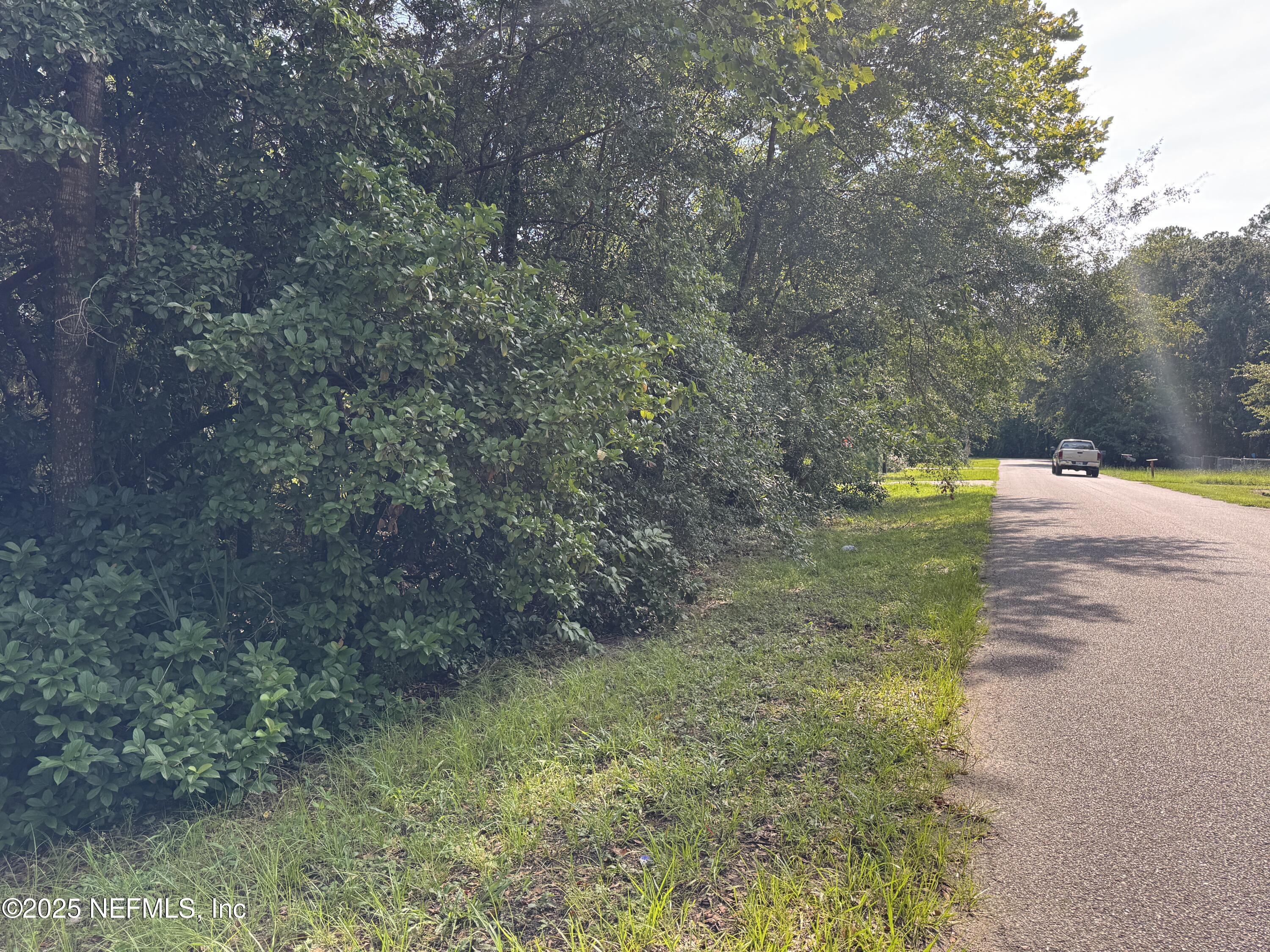 Image 4: 121 Velvet St, Interlachen, FL