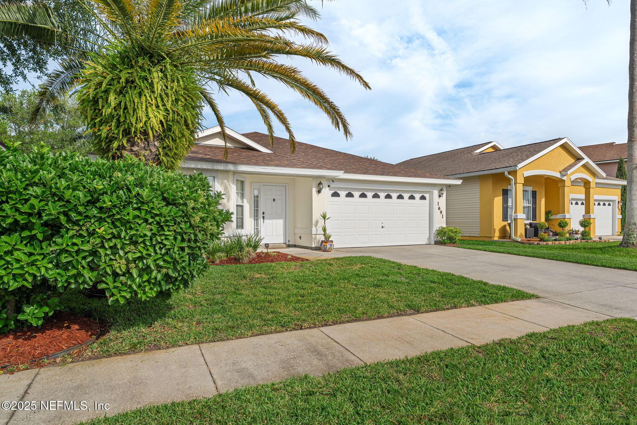 Image 3: PALM TREE FRONT ANGLE