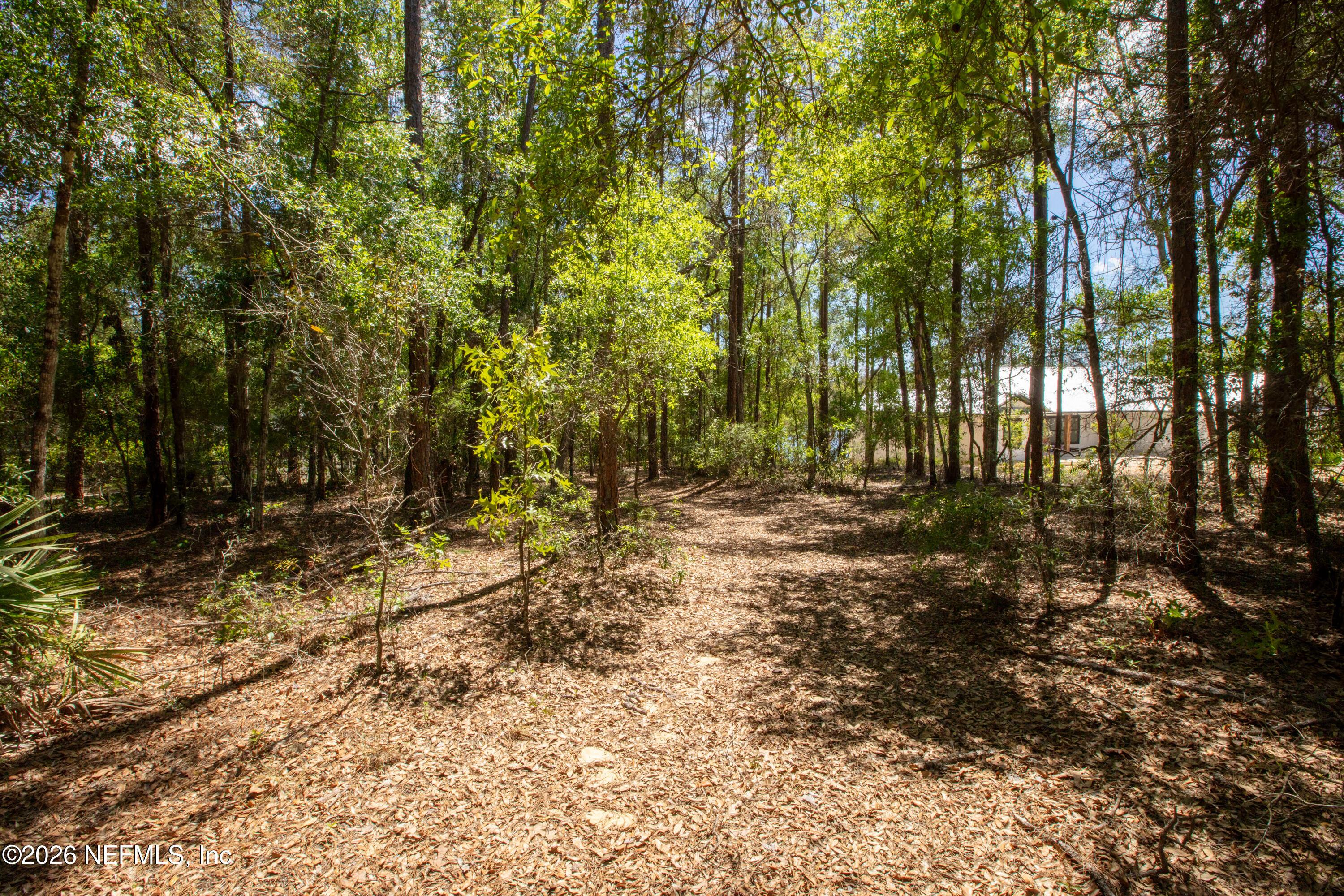 Image 2: 111GatorTrl_MLS-9